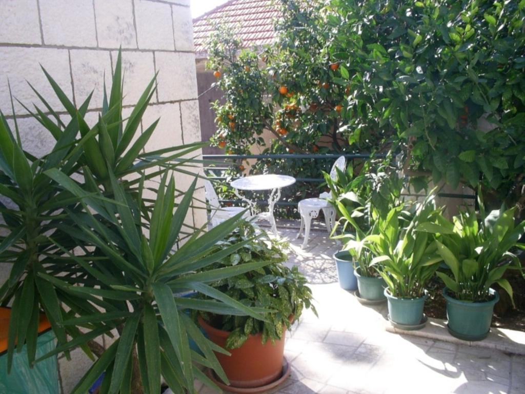 Dubrovnik Sea View Apartment Zewnętrze zdjęcie