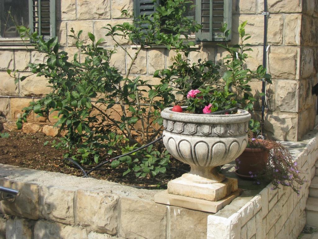 Dubrovnik Sea View Apartment Zewnętrze zdjęcie